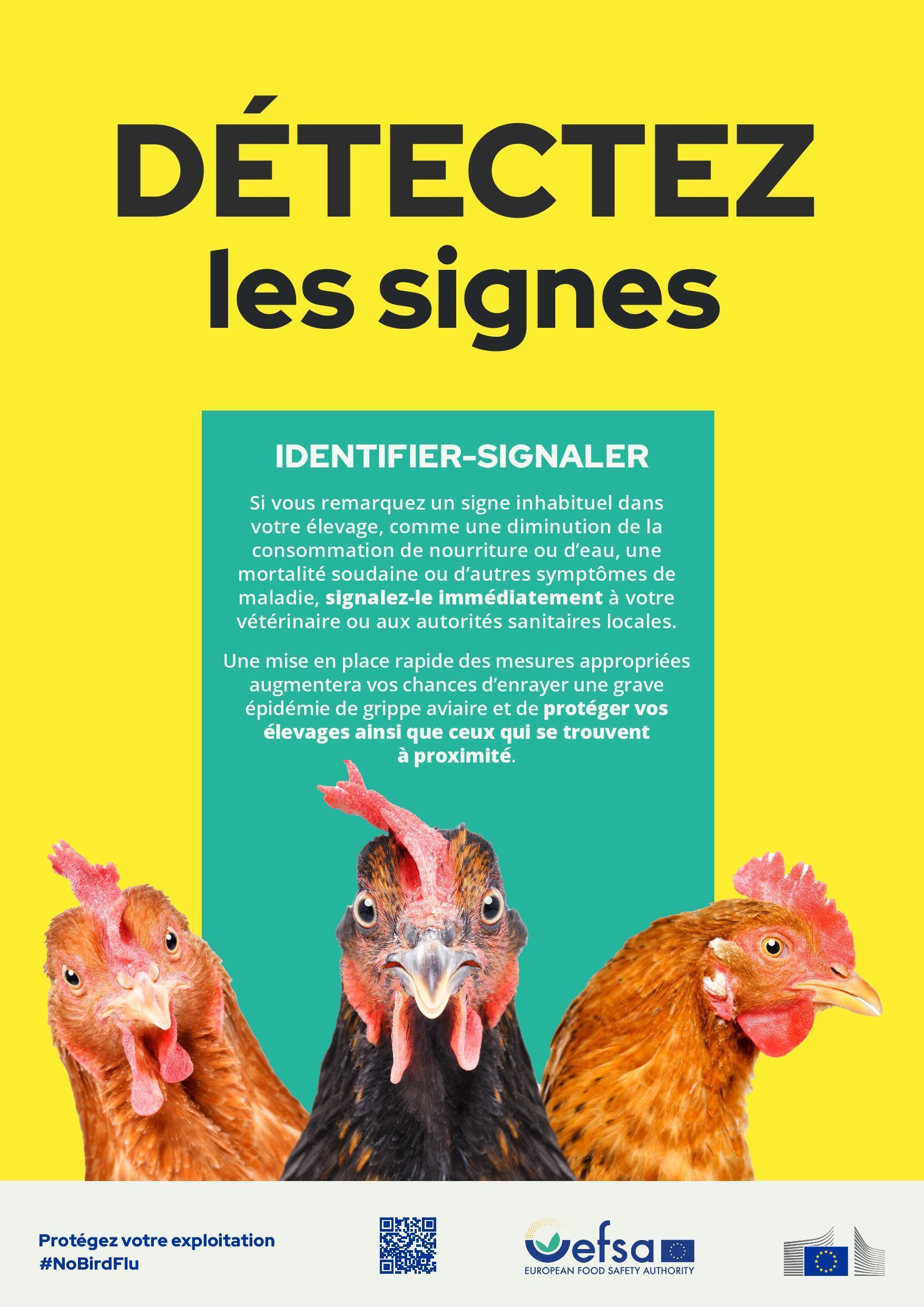 Grippe aviaire 1