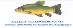 La tanche