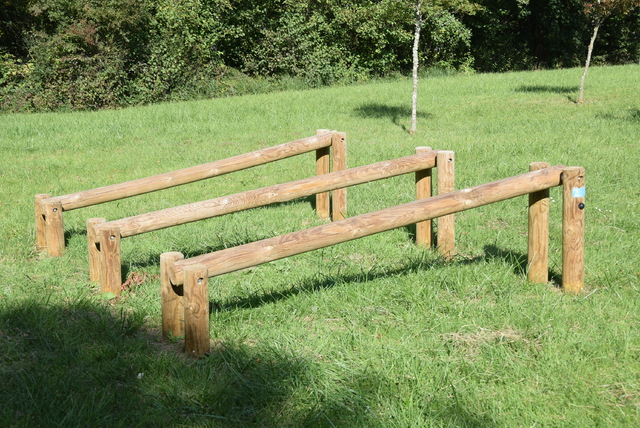 Parcours de santé Patrice Carrey 28 12 2020 (1).JPG