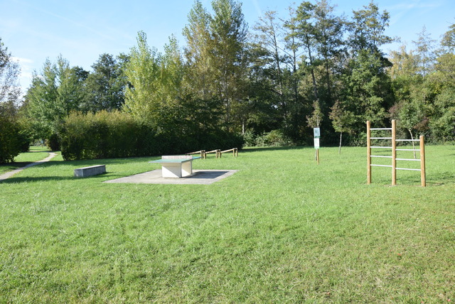 Ping-pong Patrice Carrey 28 12 2020 (1).JPG