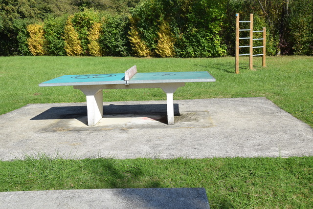 Ping-pong Patrice Carrey 28 12 2020 (2).JPG