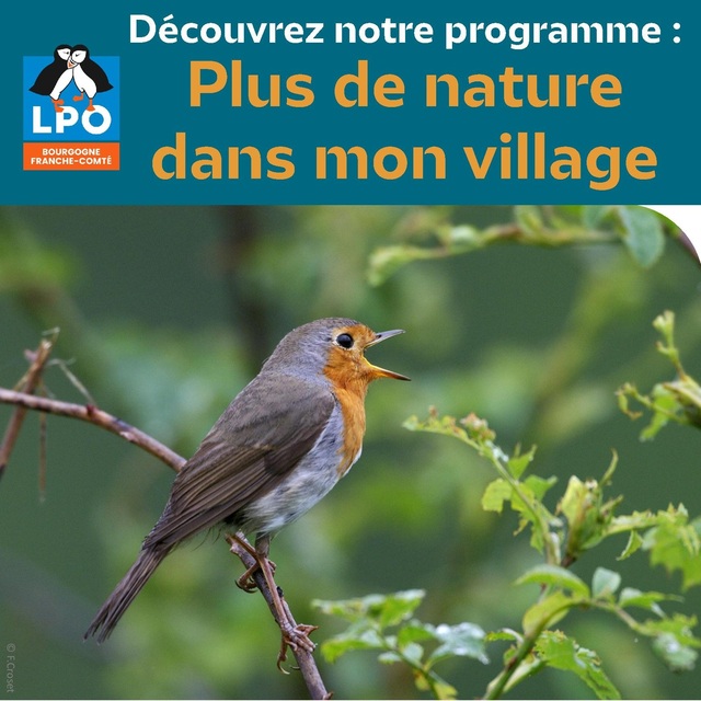 Plus de nature dans mon village