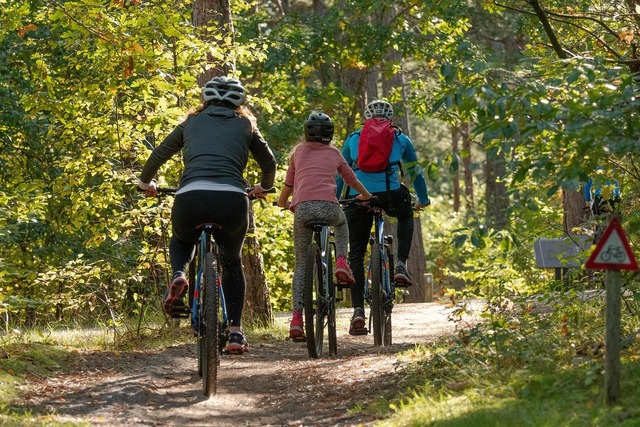 Vélos