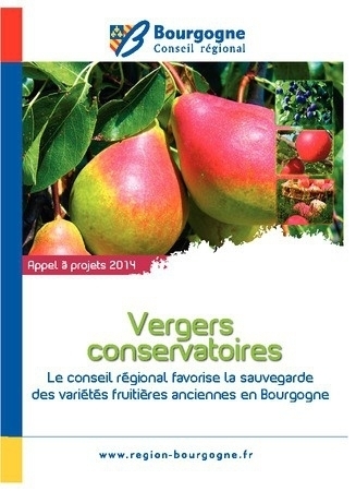 verge conservatoire 1
